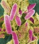 New Method May Pinpoint Certain Bacteria